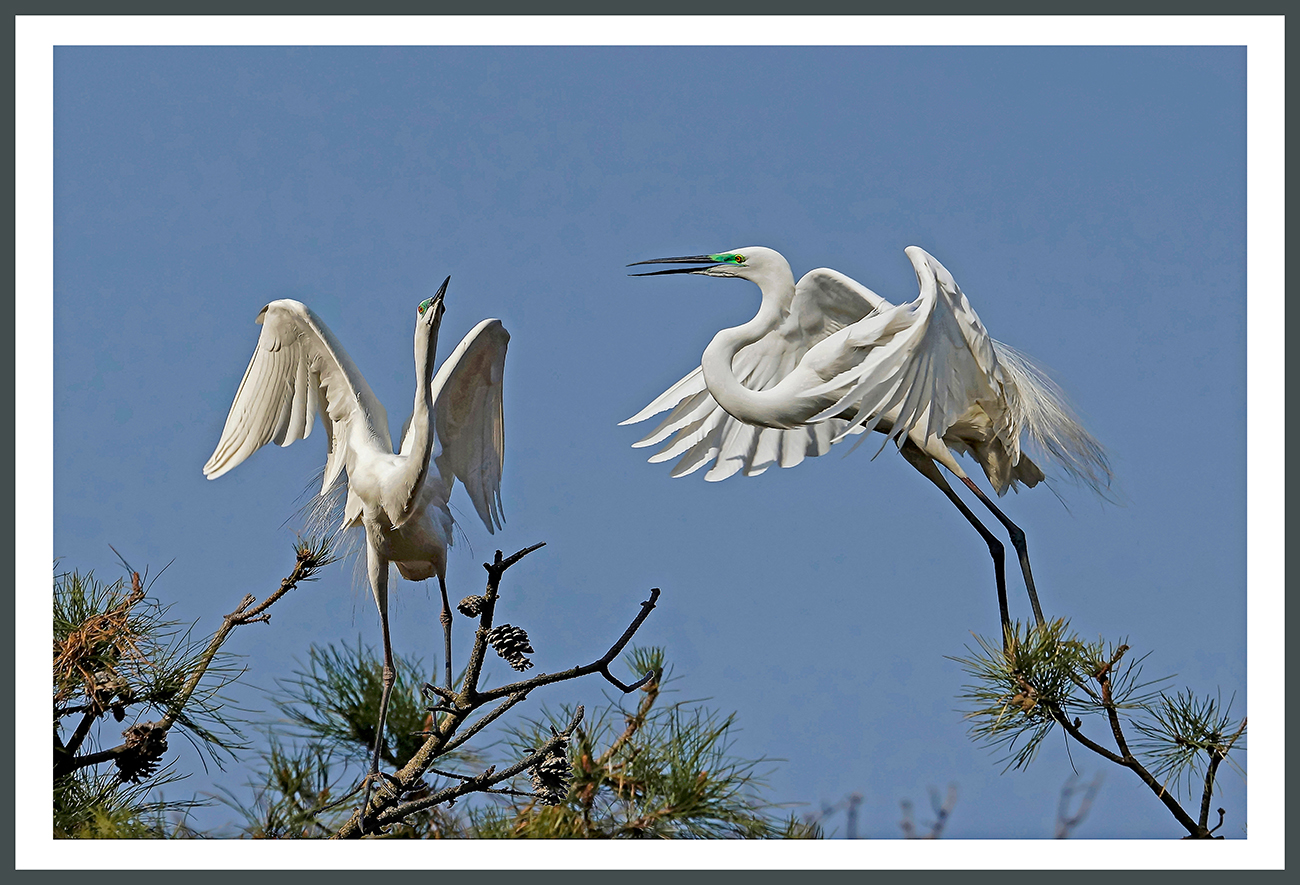   | PHOTO BY : 대심/강대형  |