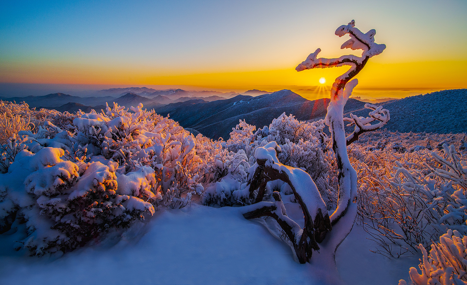 PHOTO BY  | NIKON D850 | 2024:02:08 07:18:06 | ISO-100 | 1/125 sec |  |  | EV=-1 | ● WIDTH:1500 pixels  HEIGHT:917 pixels