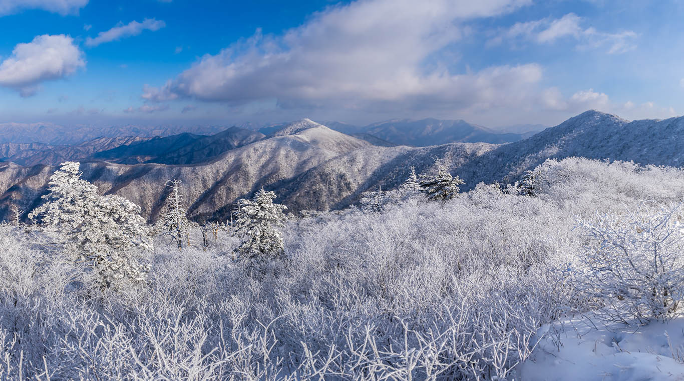 PHOTO BY Hong Mi Ran | NIKON D850 | 2024:01:07 10:37:12 | ISO-100 | 1/400 sec | f 13 | 24 mm | EV=0.3 | ● WIDTH:1366 pixels  HEIGHT:761 pixels