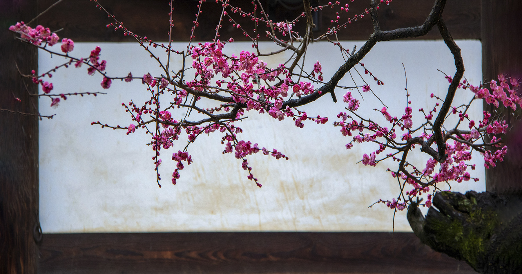 PHOTO BY  | CanonCanon |  | ISO- |  |  |  | EV=0 | ● WIDTH:  HEIGHT: