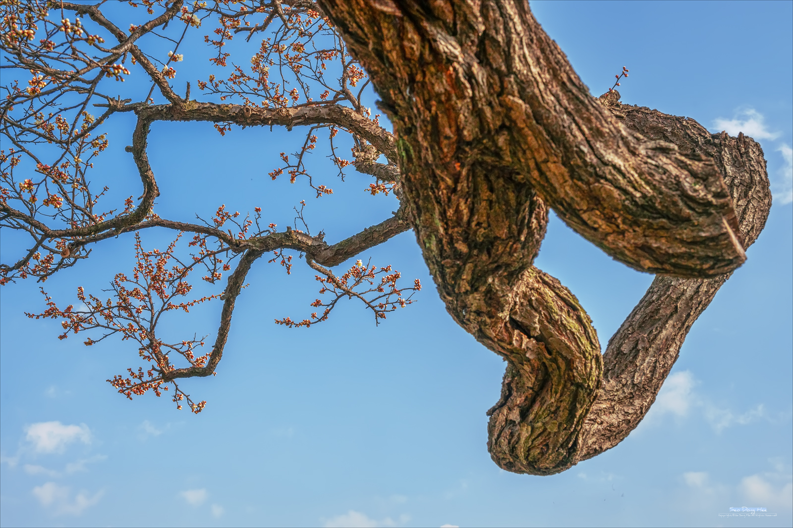 PHOTO BY  | NIKON Z f | 2024:02:15 11:03:26 | ISO-100 | 1/500 sec | f 10 | 42 mm | EV=1.3 | ● WIDTH:1600 pixels  HEIGHT:1067 pixels