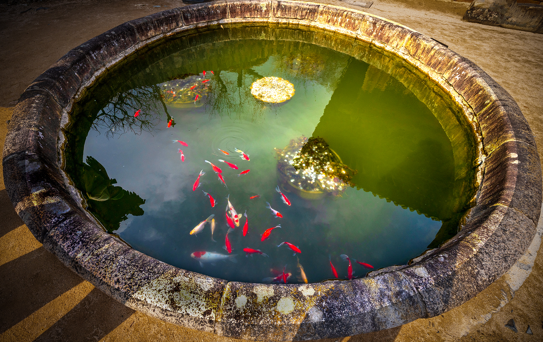 PHOTO BY  | Canon EOS R5 | 2024:02:15 14:21:44 | ISO-250 | 1/1000 sec | f 5.6 | 13 mm | EV=-1 | ● WIDTH:1800 pixels  HEIGHT:1133 pixels