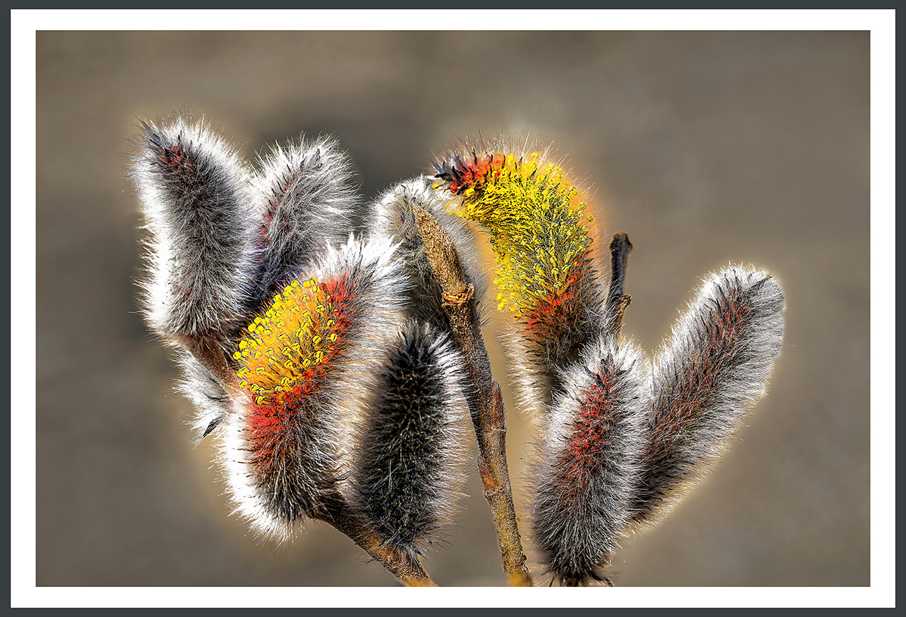 | PHOTO BY : 대심/강대형  |