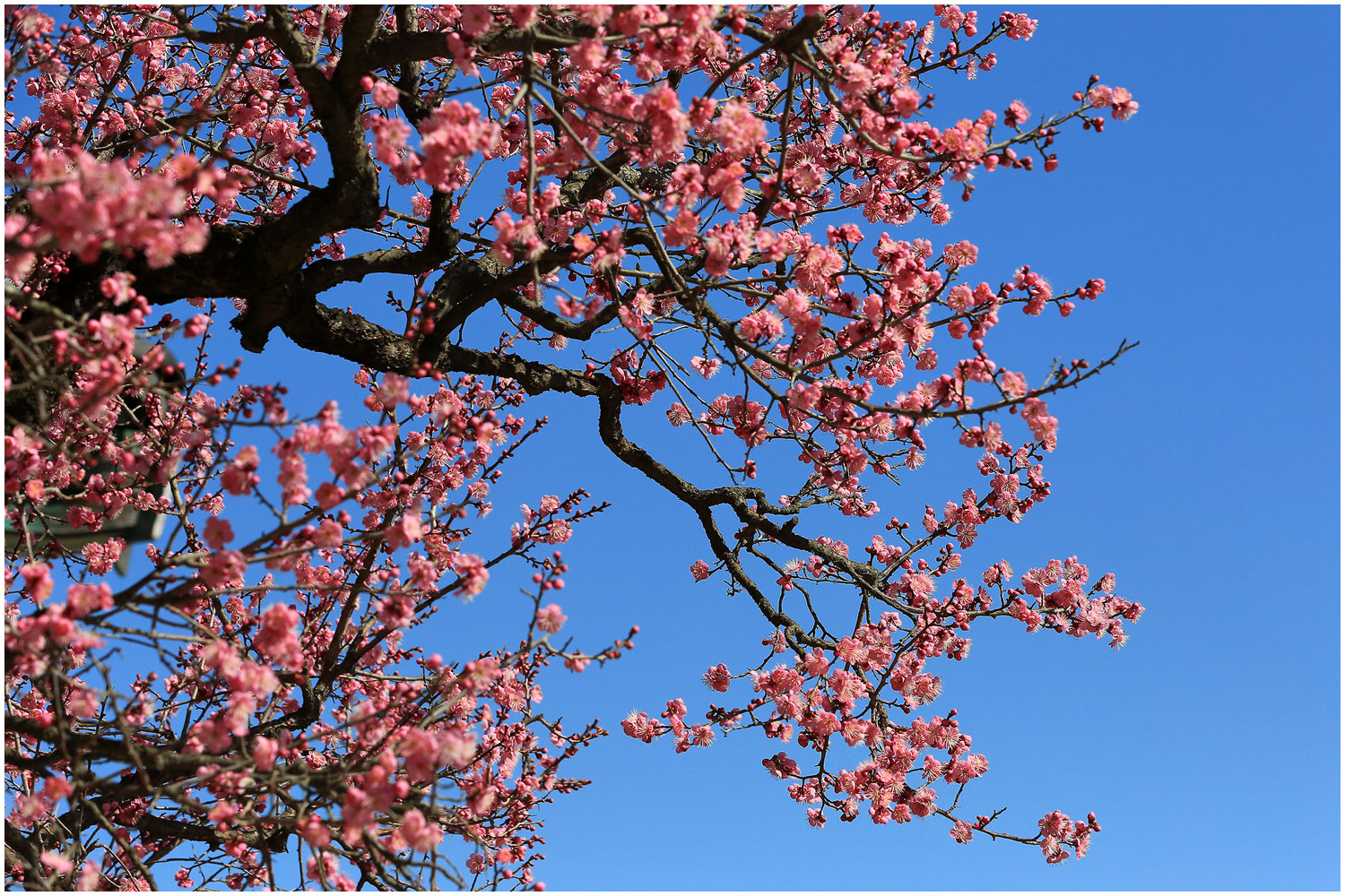 | PHOTO BY : 몰운대/조태열  |