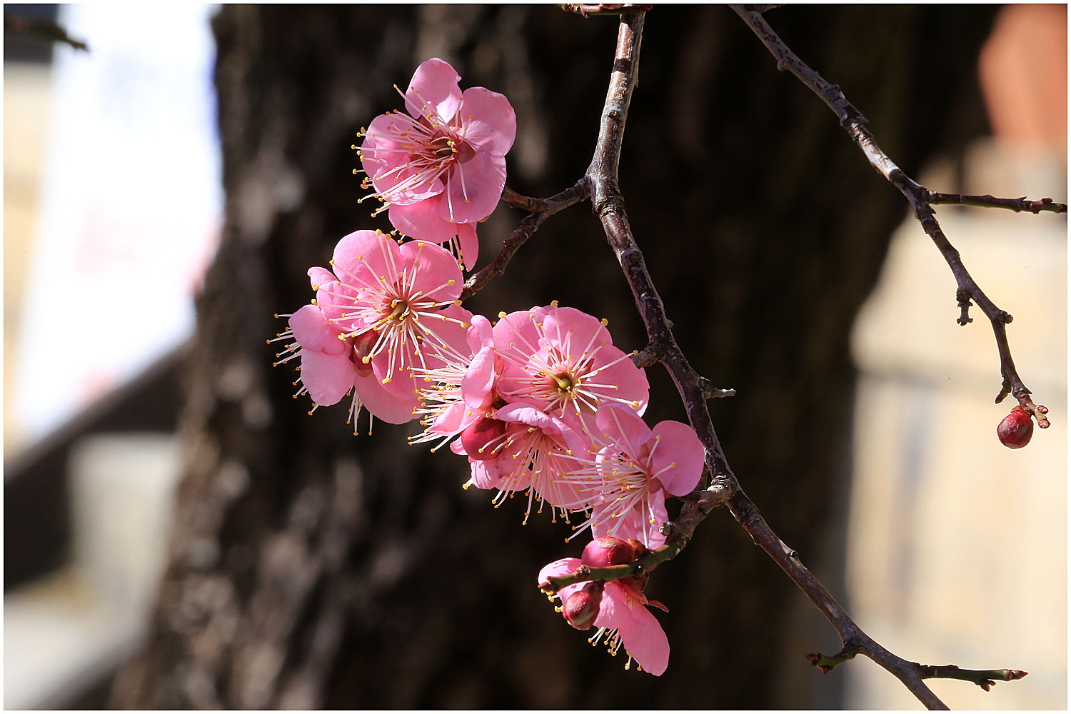 | PHOTO BY : 몰운대/조태열  |