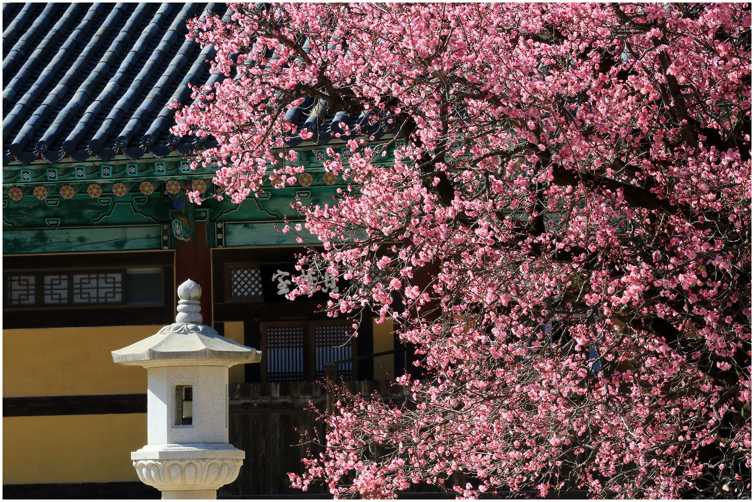 | PHOTO BY : 몰운대/조태열  |