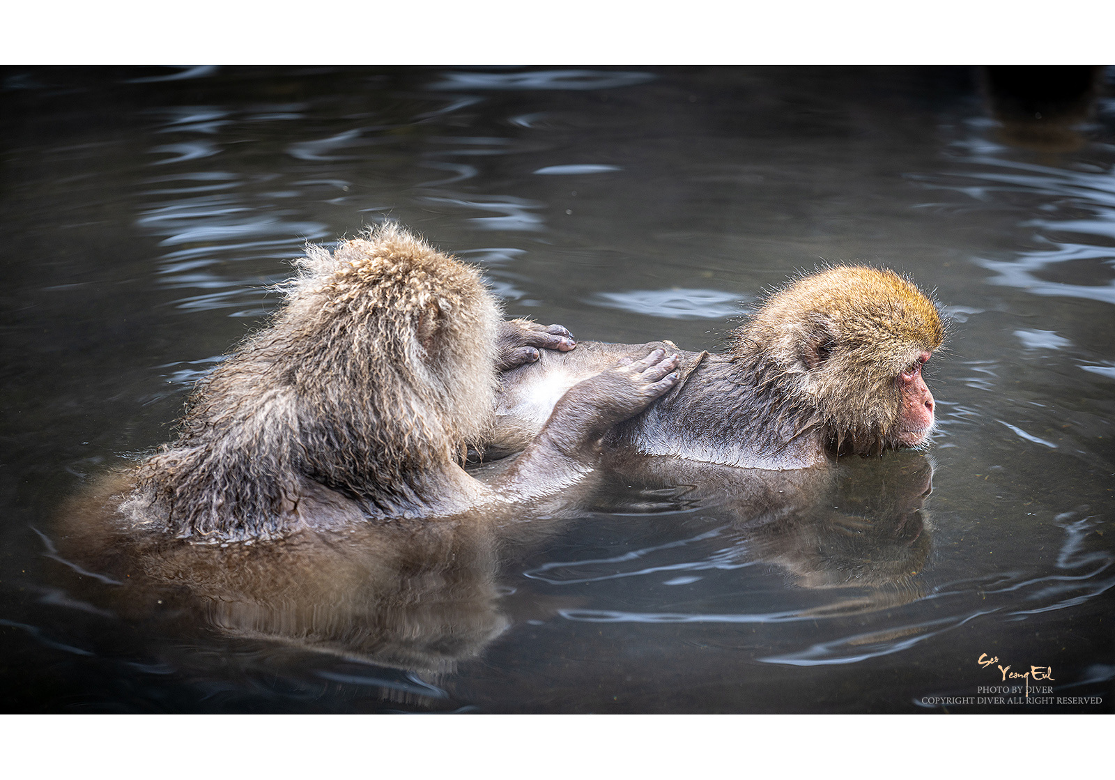 PHOTO BY  | NIKON Z 9 | 2024:02:04 15:24:35 | ISO-100 | 1/60 sec | f 4 | 120 mm | EV=0 | ● WIDTH:1600 pixels  HEIGHT:1119 pixels