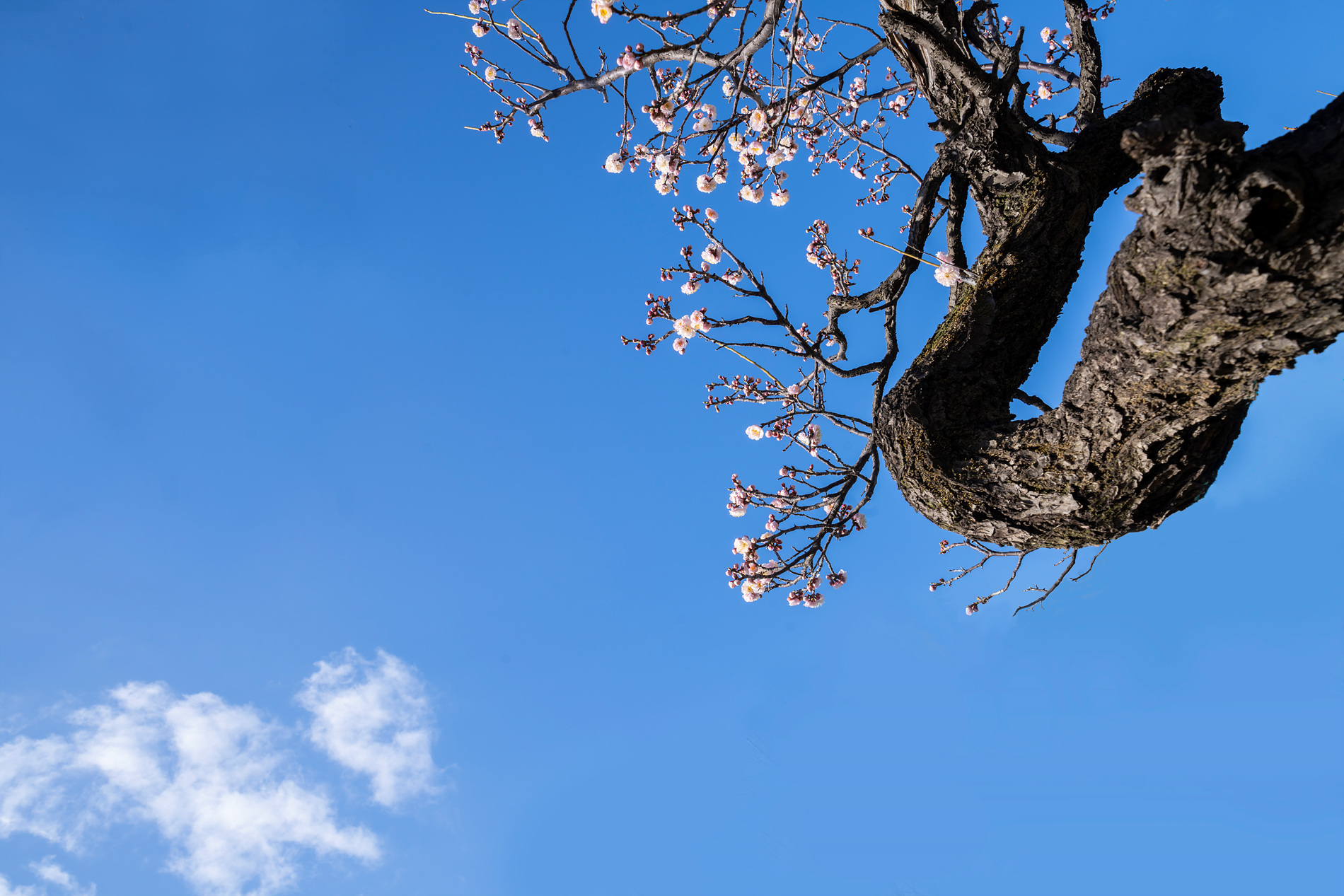 PHOTO BY Sil Sang Kim | ILCE-7RM4 | 2024:02:15 22:16:56 | ISO-100 | 1/80 sec | f 11 | 24 mm | EV=0 | ● WIDTH:1900 pixels  HEIGHT:1267 pixels