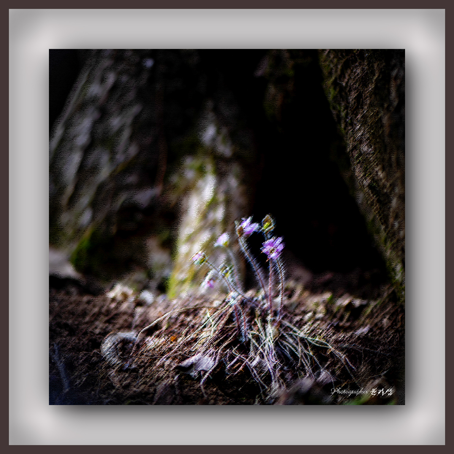 PHOTO BY YGS | NIKON D850 | 2024:02:11 09:38:06 | ISO-100 | 1/200 sec | f 3 | 105 mm | EV=0 | ● WIDTH:1530 pixels  HEIGHT:1530 pixels