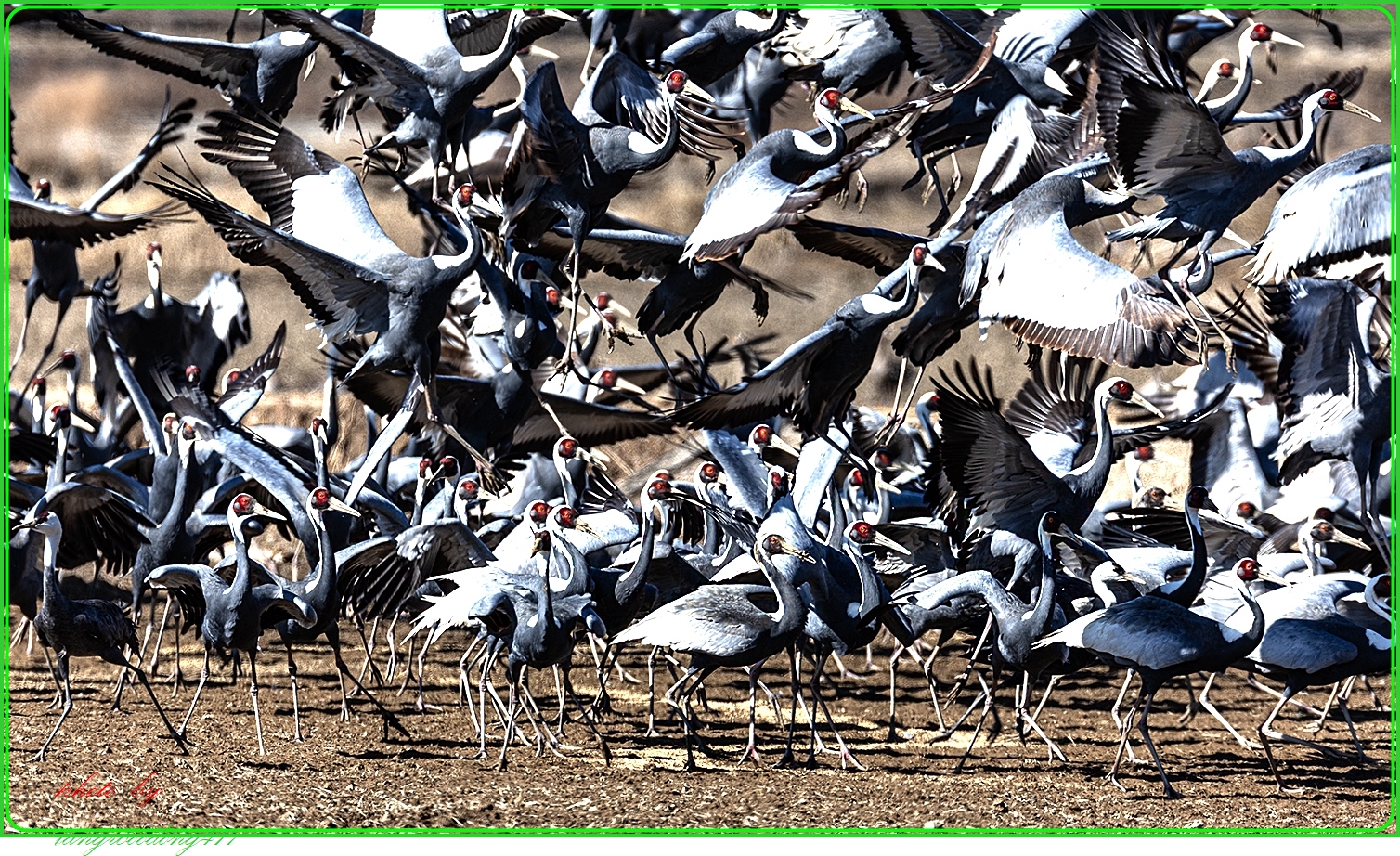   | PHOTO BY : 湖 隱 장우동  |