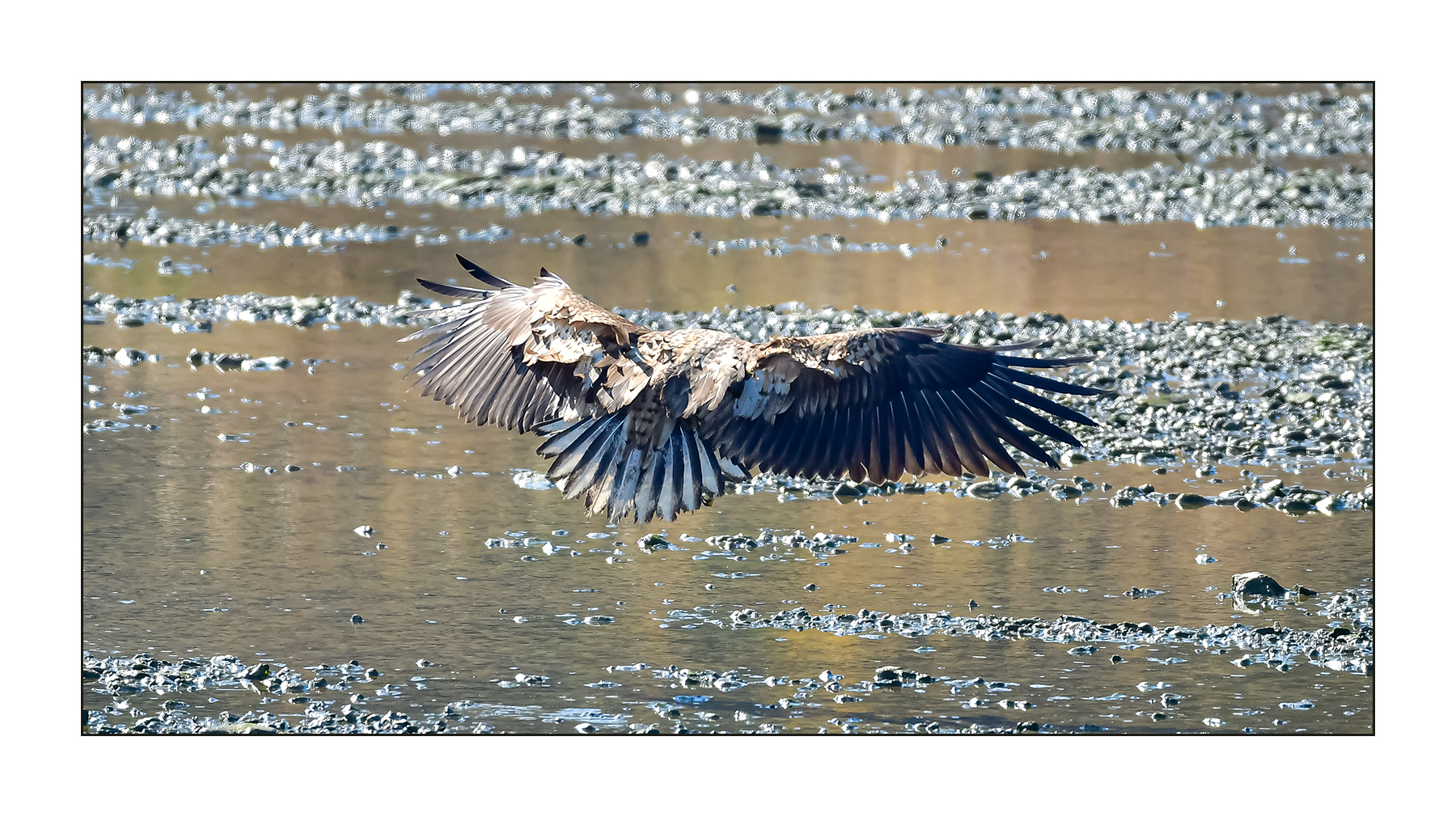 | PHOTO BY : 삿갓/정봉식  |