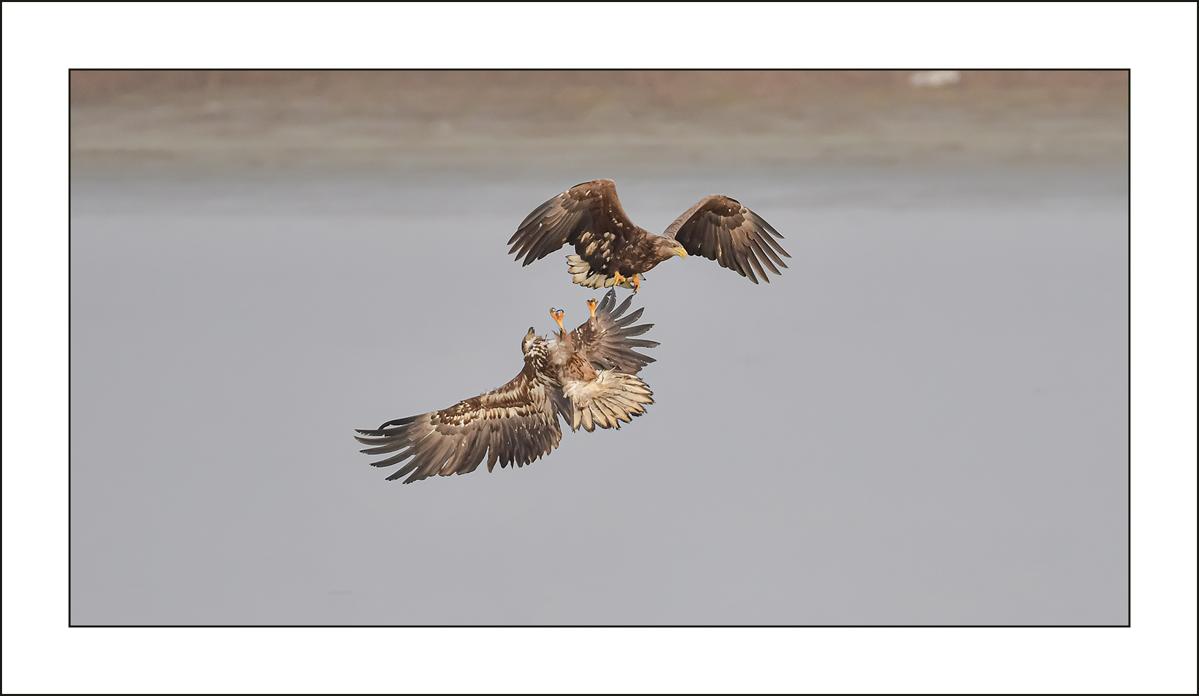 | PHOTO BY : 삿갓/정봉식  |