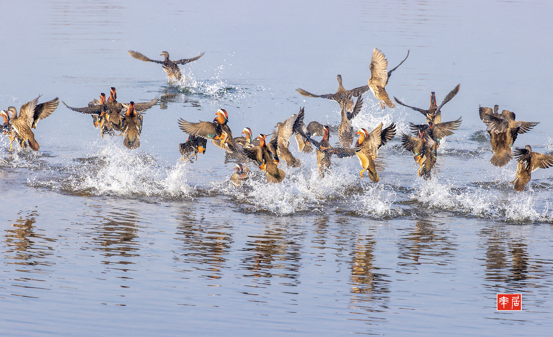 PHOTO BY changickheun | Canon EOS-1D X Mark III | 2024:02:17 08:58:09 | ISO-800 | 1/1250 sec | f 9 | 600 mm | EV=0 | ● WIDTH:1800 pixels  HEIGHT:1097 pixels