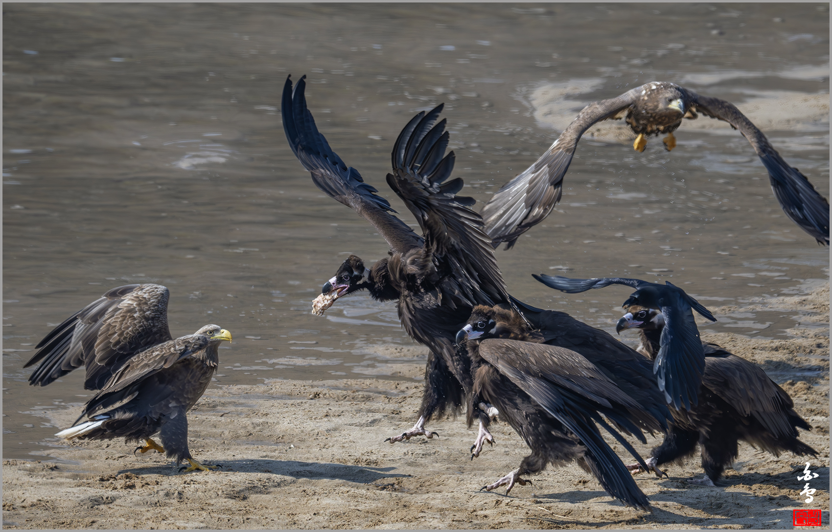 PHOTO BY  | NIKON Z 9 | 2024:01:30 12:34:33 | ISO-640 | 1/2500 sec | f 7.1 | 840 mm | EV=-0.7 | ● WIDTH:1700 pixels  HEIGHT:1088 pixels