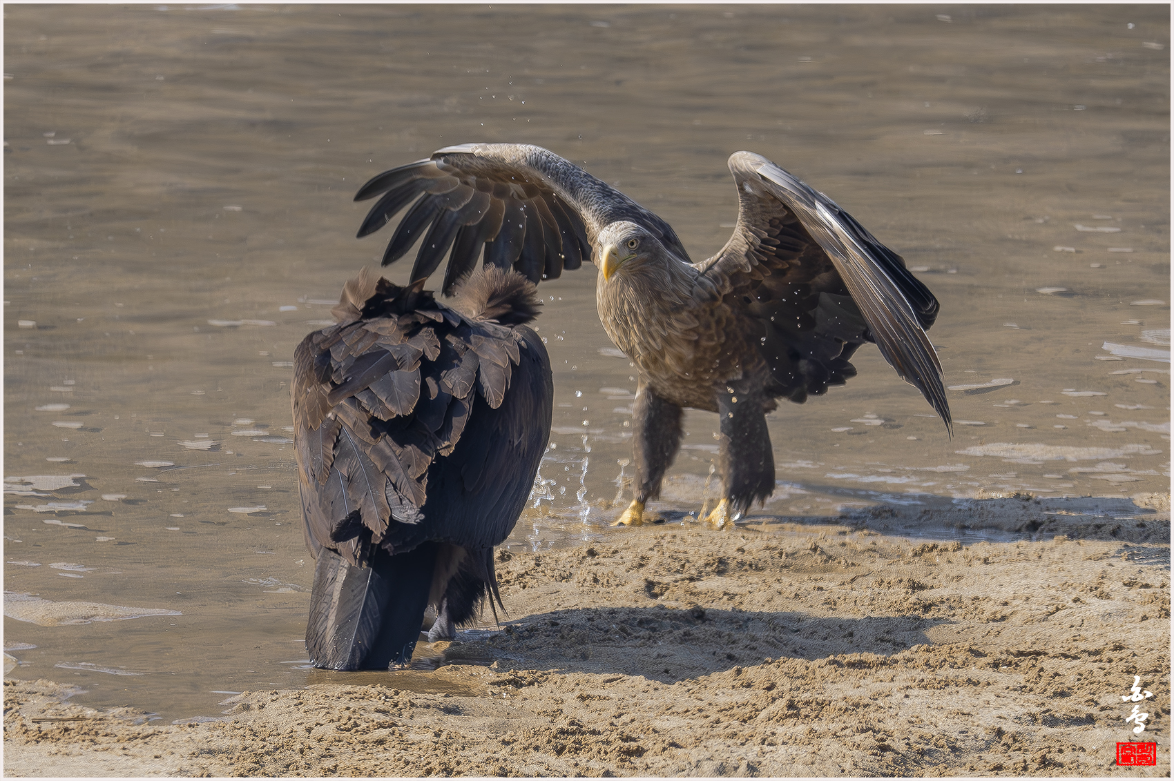 PHOTO BY  | NIKON Z 9 | 2024:01:30 12:37:36 | ISO-640 | 1/2500 sec | f 7.1 | 840 mm | EV=-0.7 | ● WIDTH:1700 pixels  HEIGHT:1132 pixels