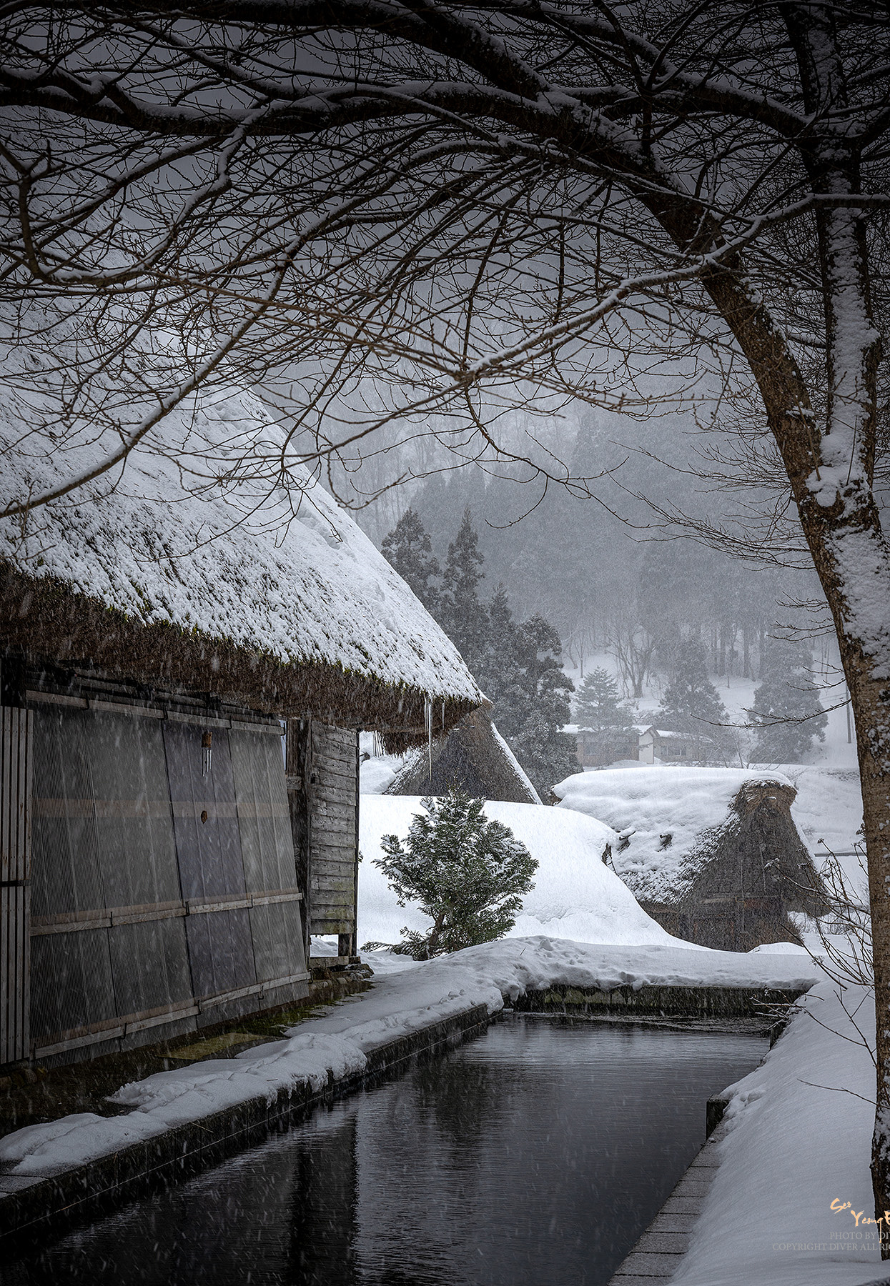 PHOTO BY  | NIKON Z 9 | 2024:02:05 12:56:04 | ISO-100 | 1/100 sec | f 11 | 68 mm | EV=0 | ● WIDTH:1245 pixels  HEIGHT:1800 pixels