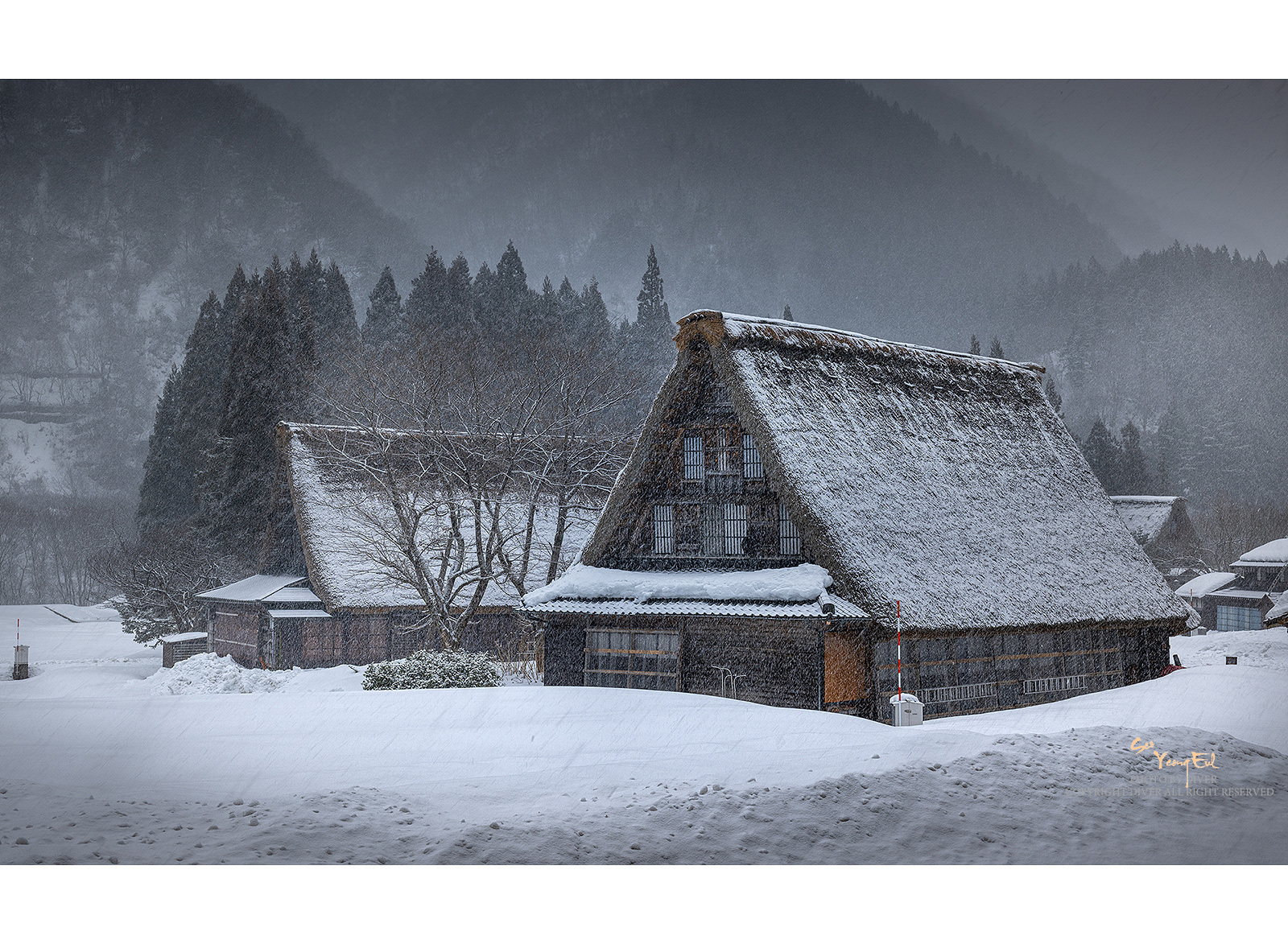 PHOTO BY  | NIKON Z 9 | 2024:02:05 12:45:39 | ISO-100 | 1/60 sec | f 11 | 46 mm | EV=0 | ● WIDTH:1600 pixels  HEIGHT:1173 pixels