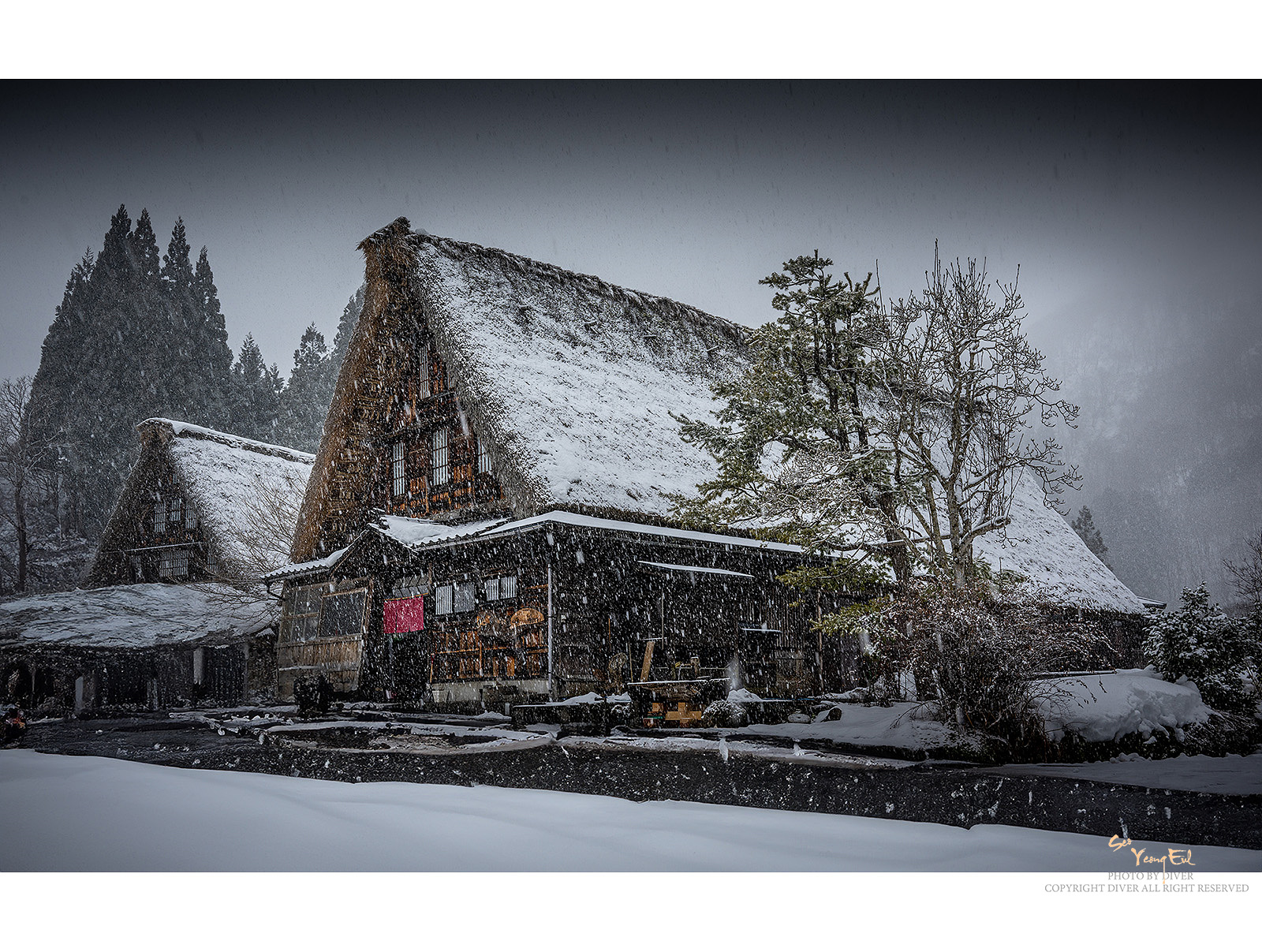 PHOTO BY  | NIKON Z 9 | 2024:02:05 12:58:11 | ISO-100 | 1/125 sec | f 11 | 29 mm | EV=0 | ● WIDTH:1600 pixels  HEIGHT:1207 pixels