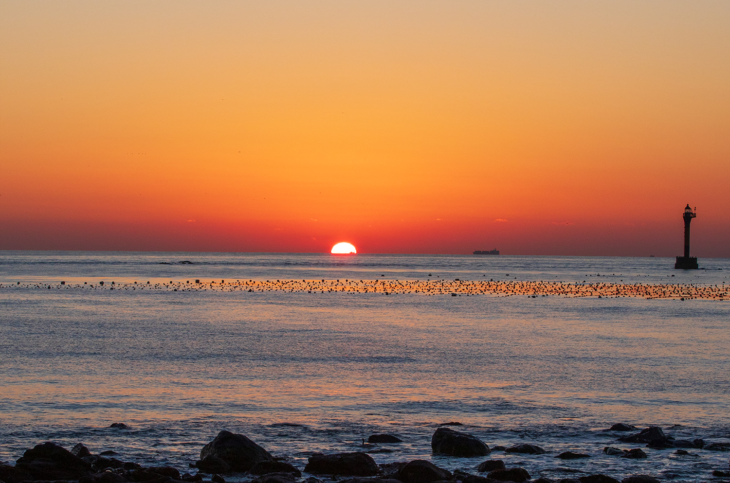 PHOTO BY  | Canon EOS 5D Mark IV | 2024:02:18 07:09:37 | ISO-250 | 1/400 sec | f 11 | 70 mm | EV=0 | ● WIDTH:1500 pixels  HEIGHT:993 pixels