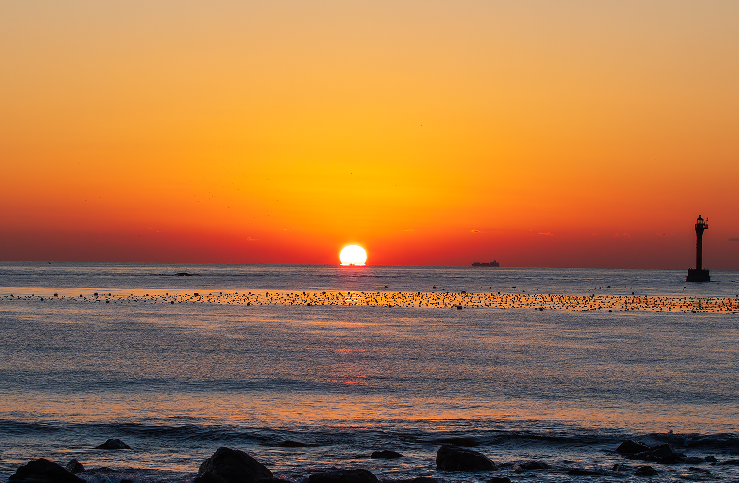 PHOTO BY  | Canon EOS 5D Mark IV | 2024:02:18 07:10:38 | ISO-200 | 1/320 sec | f 11 | 70 mm | EV=0 | ● WIDTH:1500 pixels  HEIGHT:980 pixels