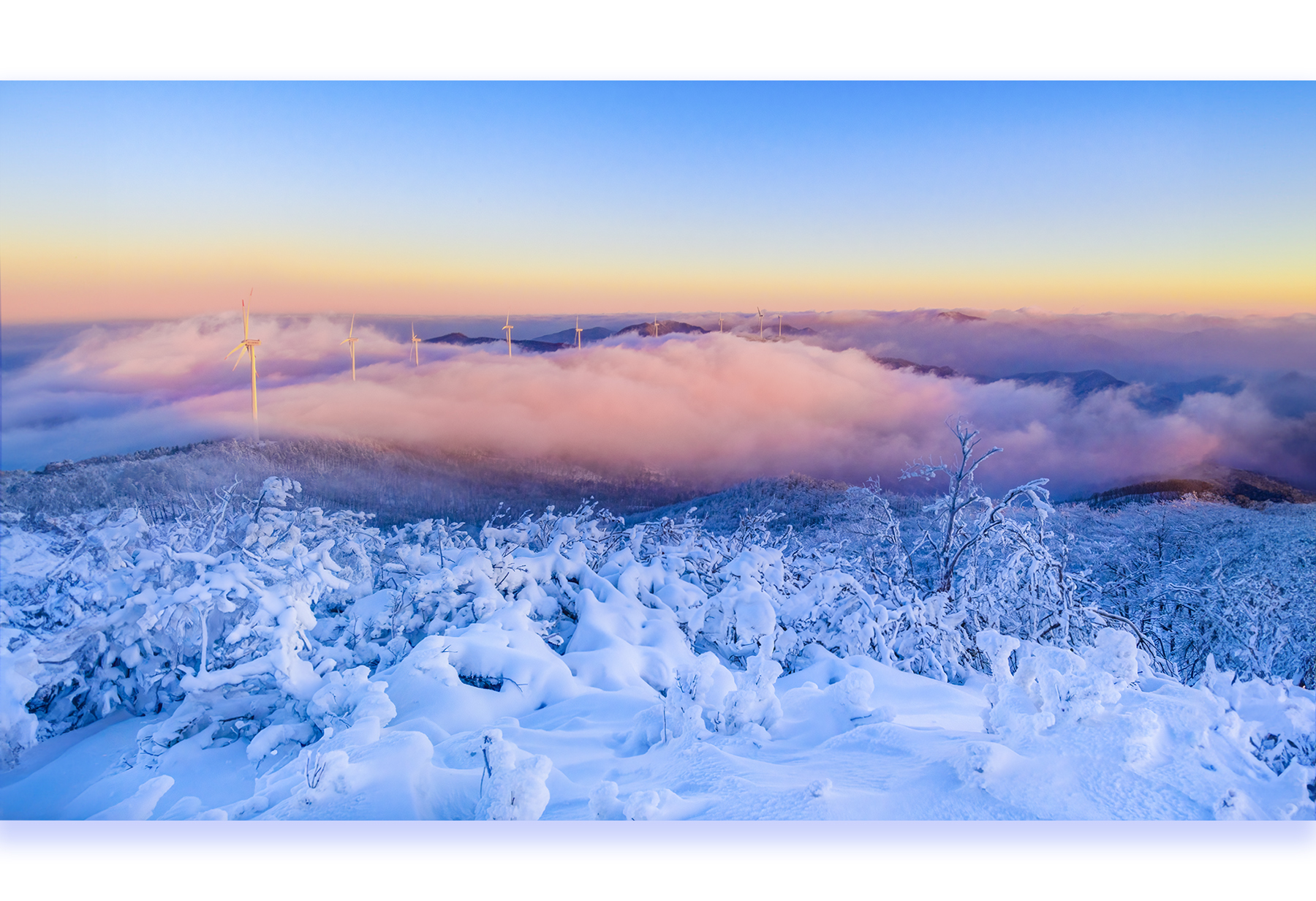 | PHOTO BY : 운광/박승우  |