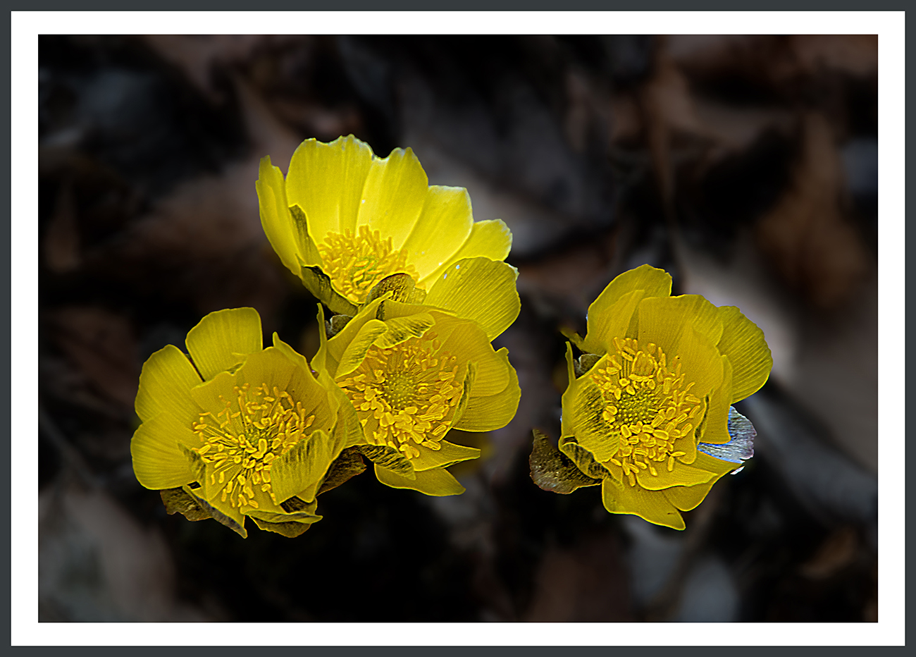 PHOTO BY  | ILCE-6500 | 2024:02:18 11:08:40 | ISO-400 | 1/60 sec | f 7.1 | 87.8 mm | EV=0 | ● WIDTH:1300 pixels  HEIGHT:932 pixels