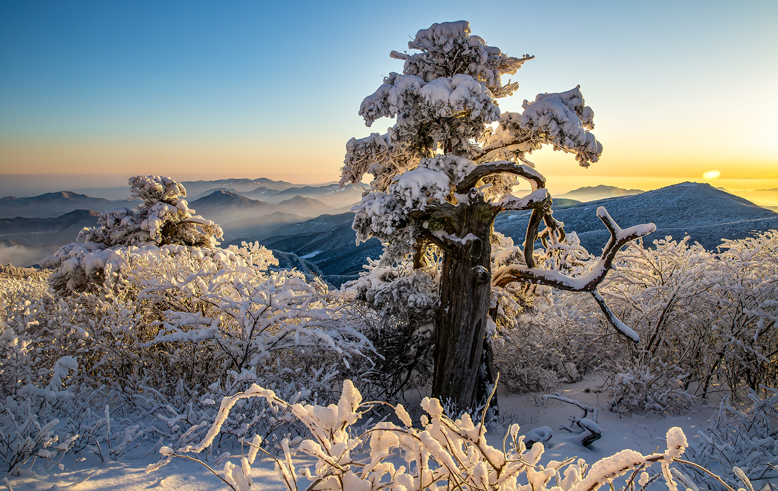 PHOTO BY MINKYUKIM | Canon EOS 5D Mark III | 2024:02:08 07:19:19 | ISO-200 | 1/50 sec | f 14 | 24 mm | EV=0 | ● WIDTH:1600 pixels  HEIGHT:1010 pixels