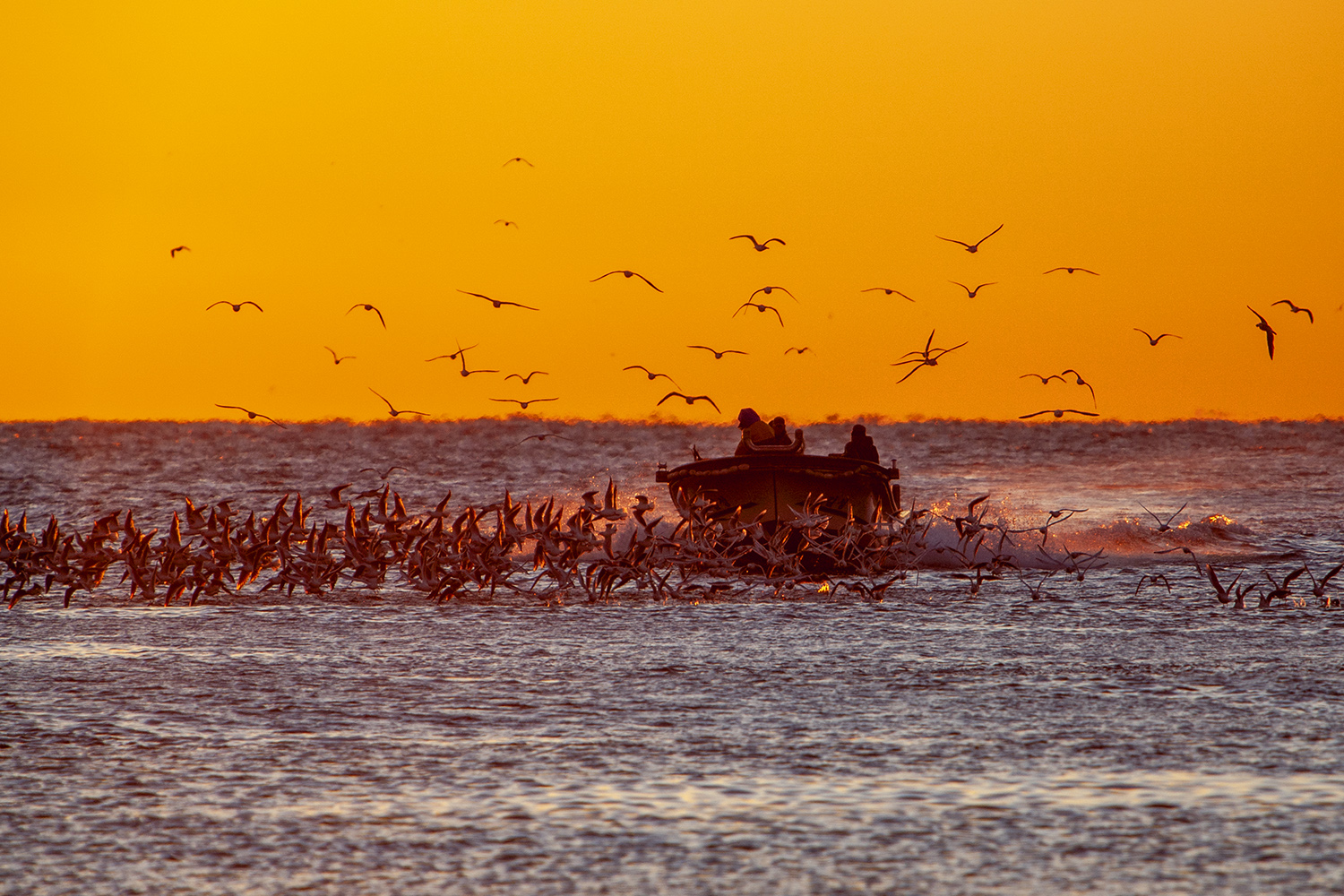 PHOTO BY  | CanonCanon  |  | ISO- |  |  |  | EV=0 | ● WIDTH:  HEIGHT: