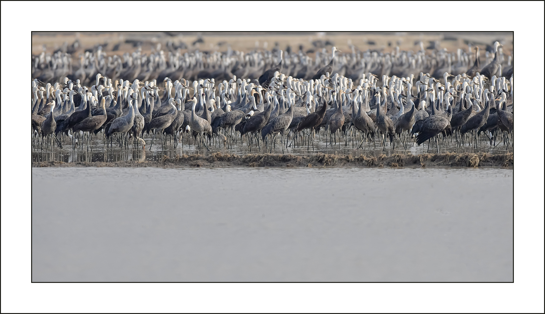   | PHOTO BY : 삿갓/정봉식  |