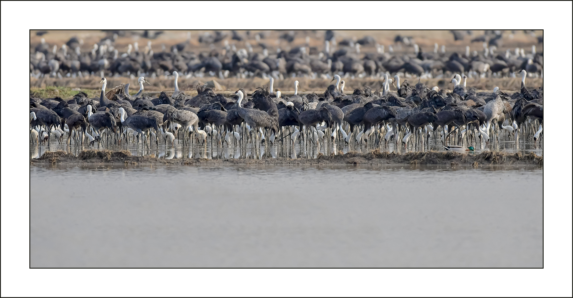   | PHOTO BY : 삿갓/정봉식  |