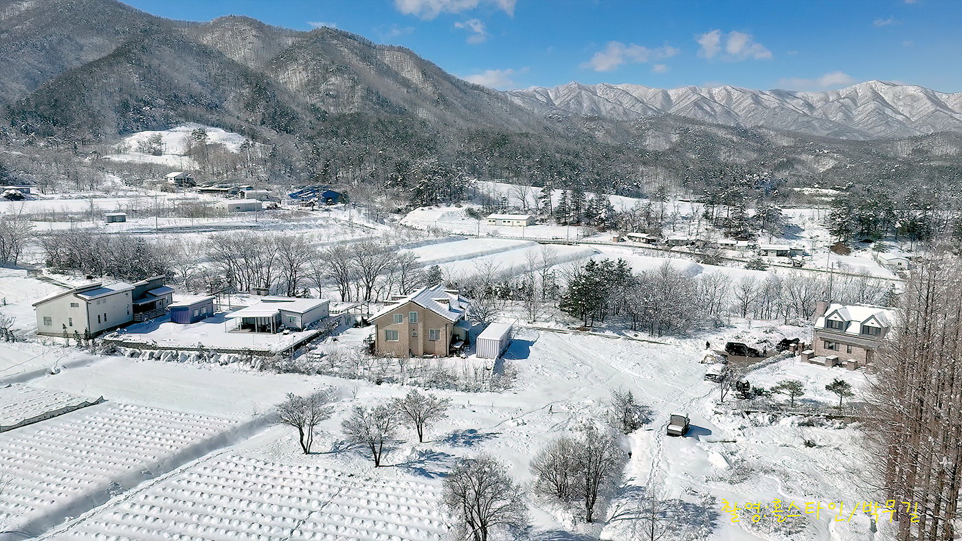 | PHOTO BY : 홀스타인/박무길  |