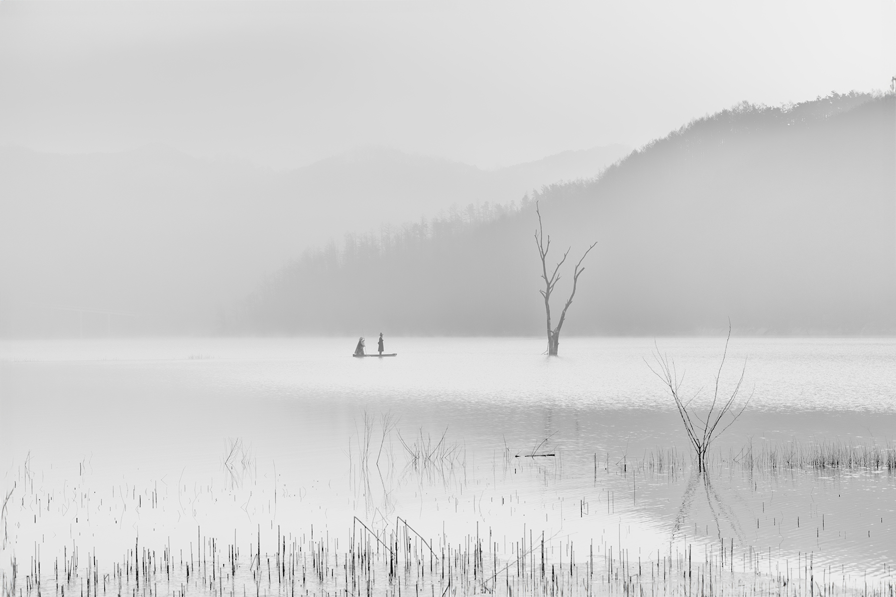 PHOTO BY  | Canon EOS R3 | 2024:02:12 07:58:01 | ISO-400 | 1/1250 sec | f 6.3 | 70 mm | EV=0 | ● WIDTH:1800 pixels  HEIGHT:1200 pixels