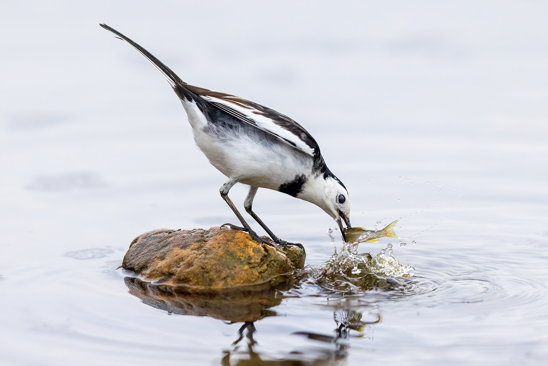 | PHOTO BY : 조현래  |