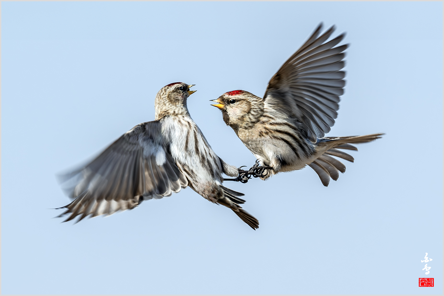 PHOTO BY  | NIKON Z 9 | 2024:02:16 11:54:43 | ISO-400 | 1/1250 sec | f 8 | 600 mm | EV=1 | ● WIDTH:1700 pixels  HEIGHT:1133 pixels