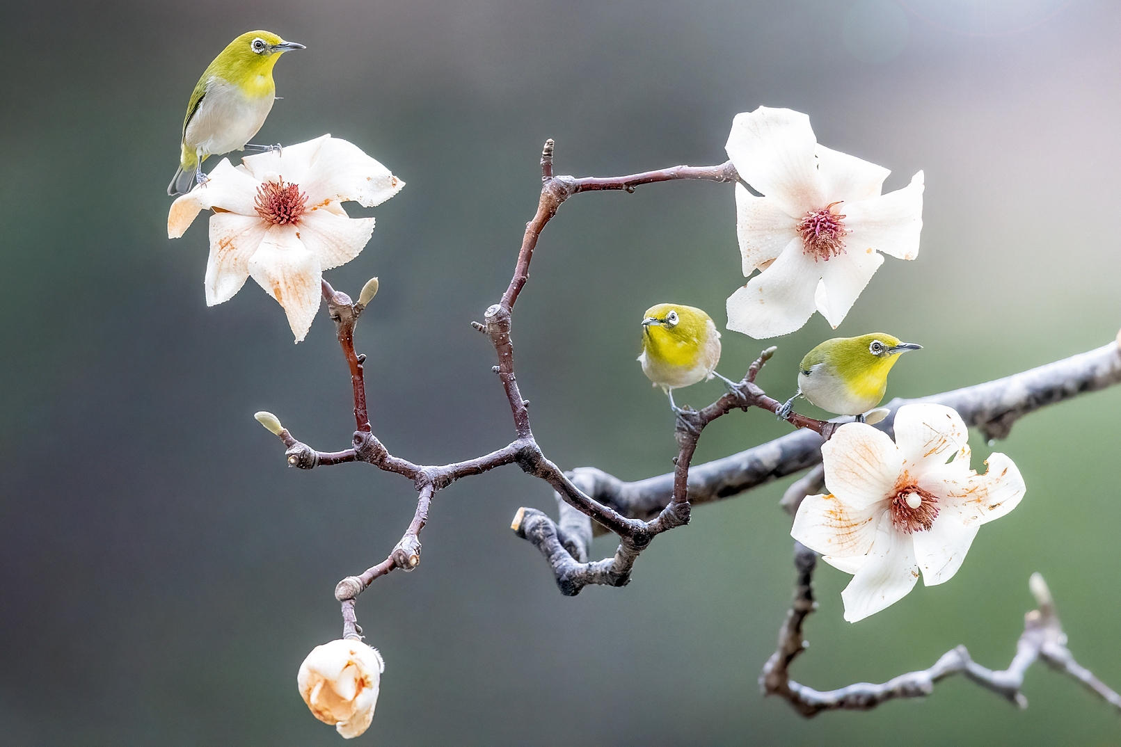 | PHOTO BY : 조현래  |