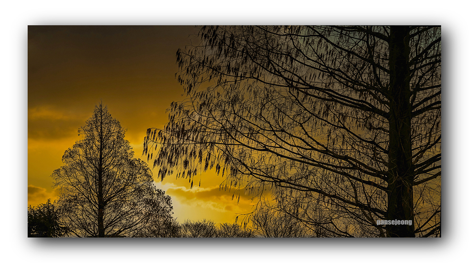 PHOTO BY jps | Canon EOS R6 | 2024:02:15 13:48:42 | ISO-100 | 1/1250 sec | f 7.1 | 105 mm | EV=0 | ● WIDTH:1600 pixels  HEIGHT:900 pixels