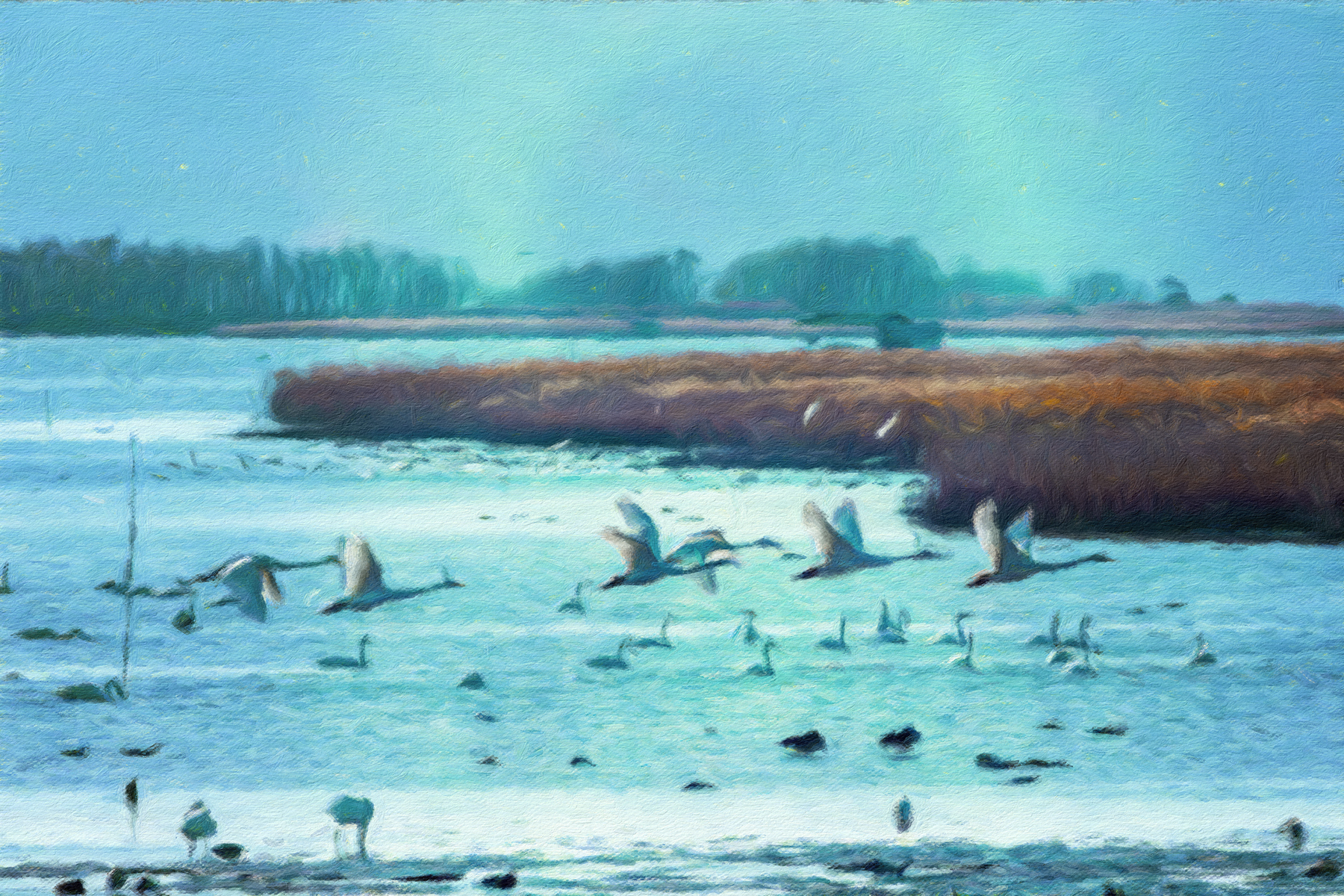 PHOTO BY  | Canon EOS-1D X | 2013:11:29 15:02:32 | ISO-500 | 1/640 sec | f 9 | 400 mm | EV=0.7 | ● WIDTH:1800 pixels  HEIGHT:1200 pixels