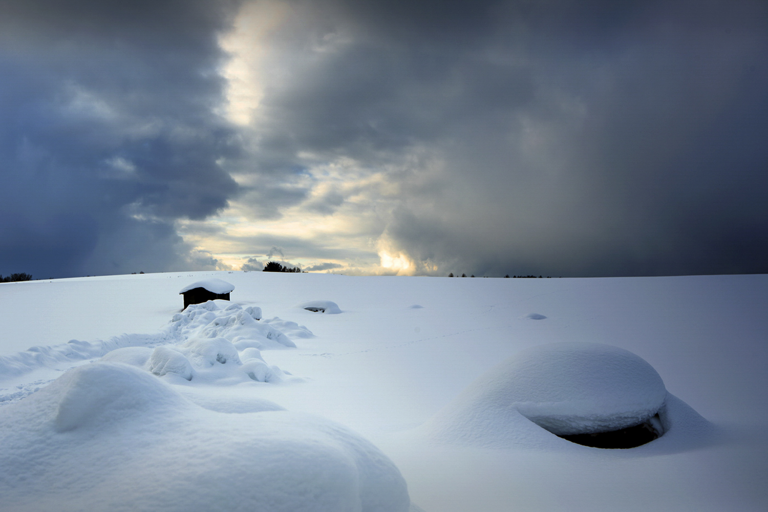 PHOTO BY  | CanonCanon  |  | ISO- |  |  |  | EV=0 | ● WIDTH:  HEIGHT: