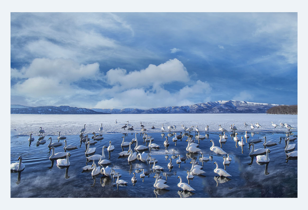 PHOTO BY SEHUI_OK | NIKON D500 | 2024:02:18 15:28:56 | ISO-100 | 1/1000 sec | f 8 | 10 mm | EV=-0.3 | ● WIDTH:1300 pixels  HEIGHT:886 pixels