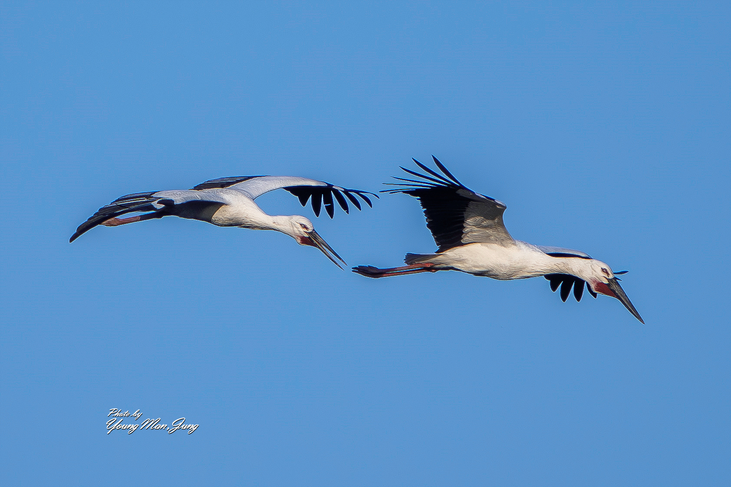 PHOTO BY  | NIKON Z 9 | 2024:02:13 17:20:49 | ISO-125 | 1/1000 sec | f 5.6 | 850 mm | EV=0 | ● WIDTH:  HEIGHT: