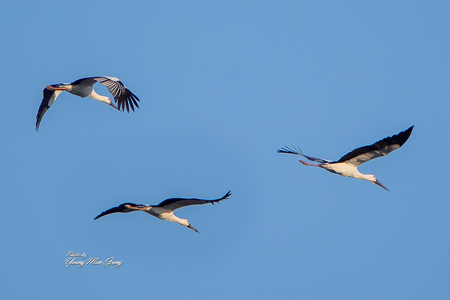 PHOTO BY  | NIKON Z 9 | 2024:02:13 17:24:46 | ISO-140 | 1/800 sec | f 5.6 | 850 mm | EV=0 | ● WIDTH:  HEIGHT: