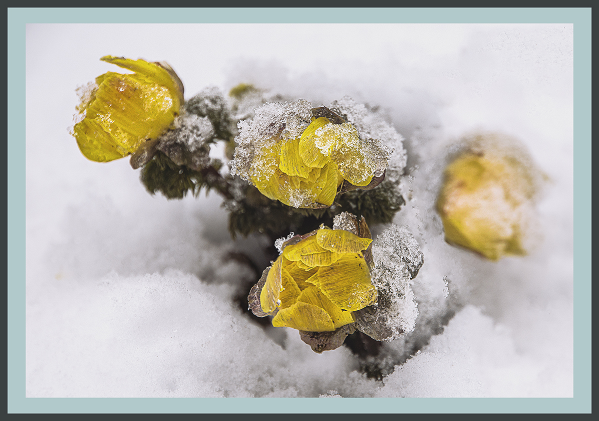 PHOTO BY  | ILCE-6500 | 2024:02:22 10:21:21 | ISO-200 | 1/125 sec | f 6.3 | 135.3 mm | EV=0.3 | ● WIDTH:1200 pixels  HEIGHT:844 pixels