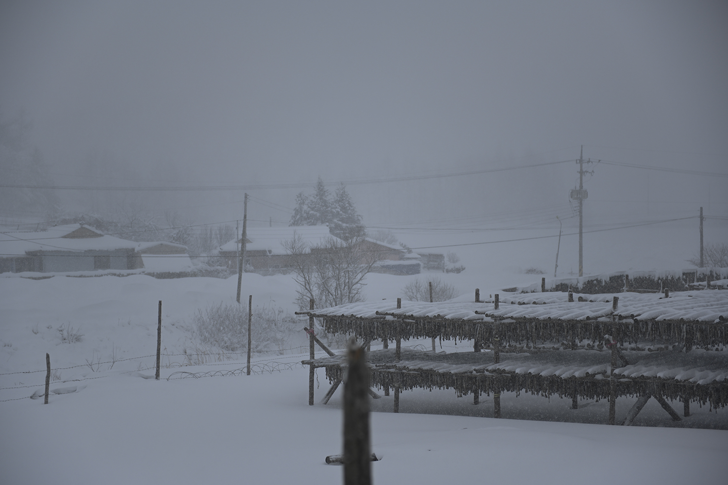 PHOTO BY  | NIKON Z 7 | 2024:02:21 10:20:49 | ISO-100 | 1/3200 sec | f 2.8 | 70 mm | EV=0 | ● WIDTH:1500 pixels  HEIGHT:1000 pixels