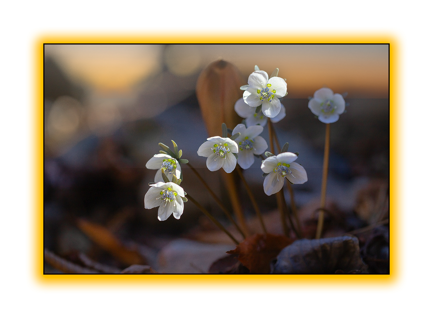   | PHOTO BY : 오로라/조한호  |