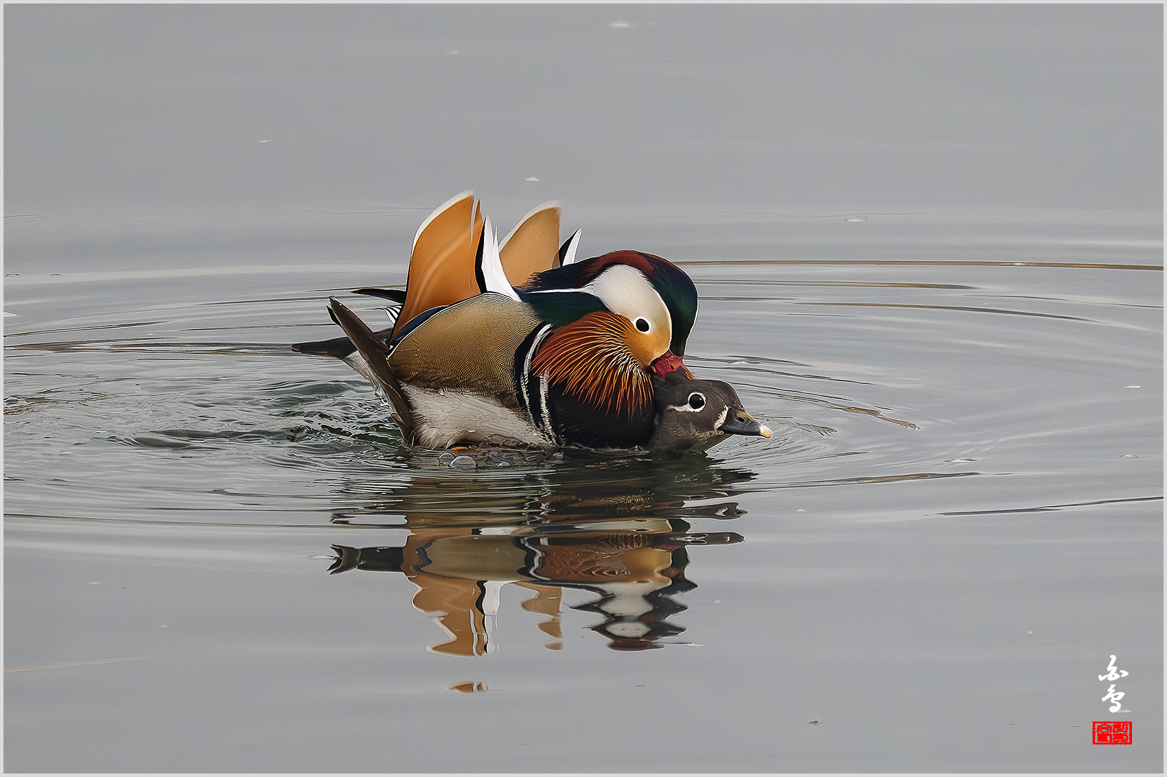 PHOTO BY  | NIKON Z 9 | 2024:02:18 08:51:34 | ISO-1250 | 1/1250 sec | f 8 | 1176 mm | EV=0 | ● WIDTH:1700 pixels  HEIGHT:1133 pixels