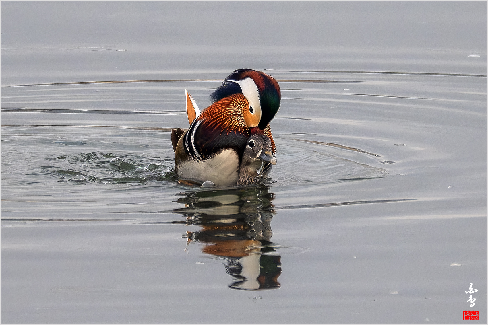 PHOTO BY  | NIKON Z 9 | 2024:02:18 08:51:35 | ISO-1250 | 1/1250 sec | f 8 | 1176 mm | EV=0 | ● WIDTH:1700 pixels  HEIGHT:1133 pixels