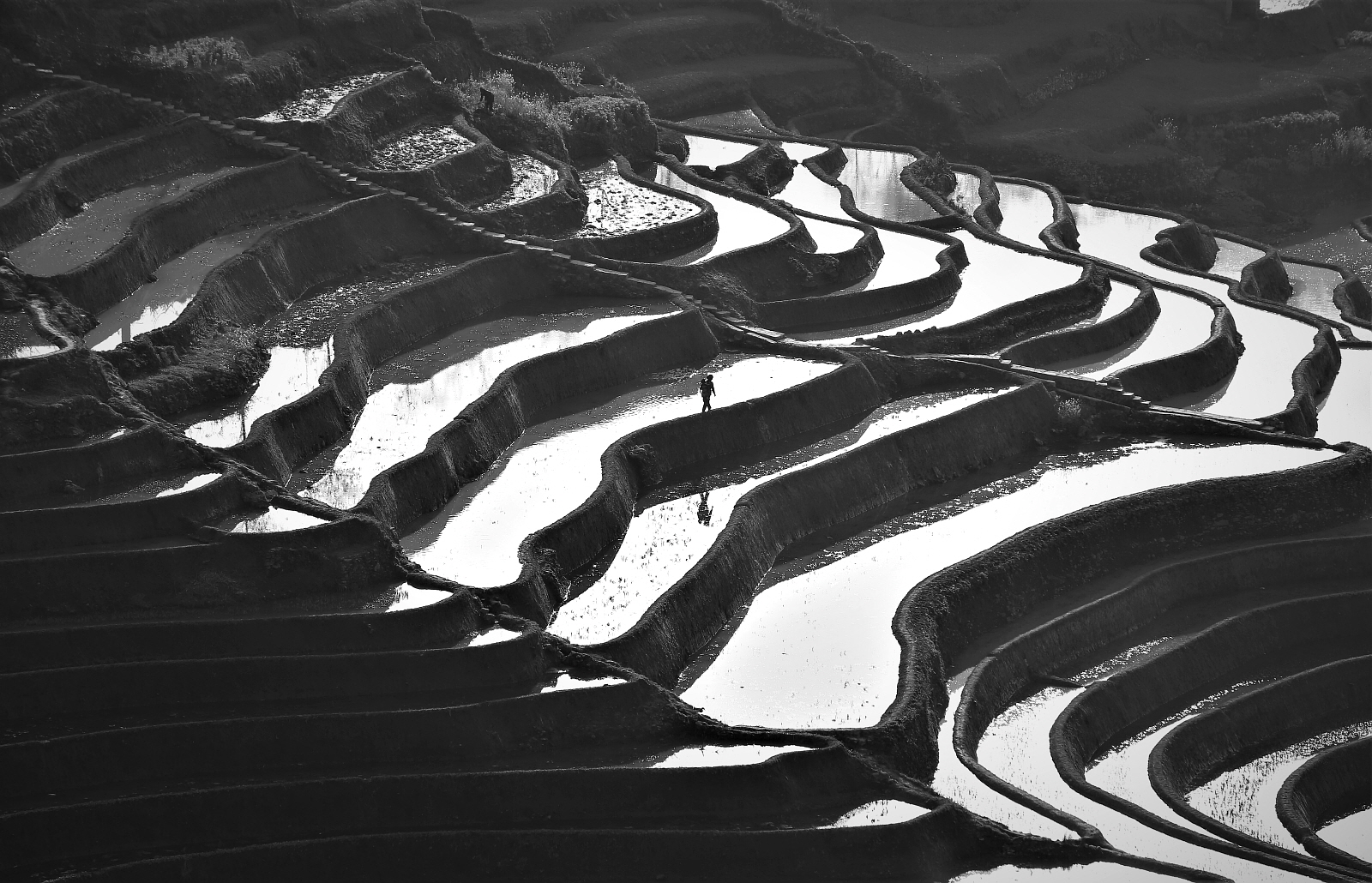 PHOTO BY 2 | Canon EOS 5D Mark III | 2014:02:26 18:48:15 | ISO-100 | 1/250 sec | f 7.1 | 200 mm | EV=0 | ● WIDTH:1600 pixels  HEIGHT:1030 pixels