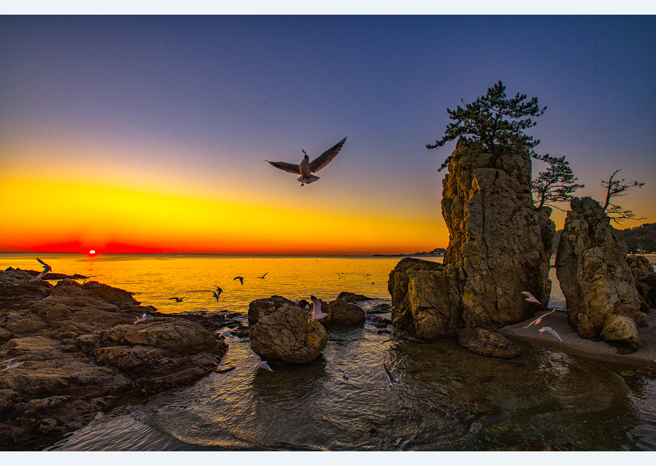 PHOTO BY AHN YONGGOAN | NIKON D850 | 2024:01:13 07:33:19 | ISO-400 | 1/250 sec | f 11 | 17 mm | EV=0 | ● WIDTH:1300 pixels  HEIGHT:925 pixels