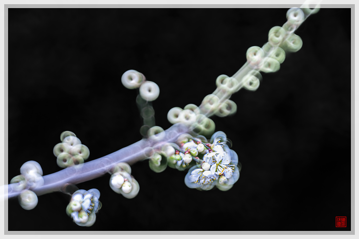 PHOTO BY  | NIKON D500 | 2024:02:25 12:41:59 | ISO-200 | 1/100 sec |  |  | EV=0.7 | ● WIDTH:1500 pixels  HEIGHT:1000 pixels