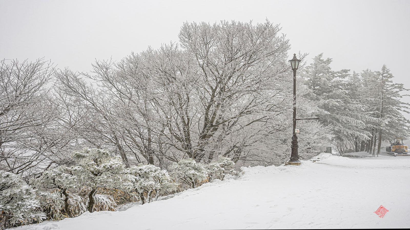 PHOTO BY jps | Canon EOS R6 | 2024:02:23 12:55:37 | ISO-100 | 1/100 sec | f 5.6 | 27 mm | EV=0.3 | ● WIDTH:1600 pixels  HEIGHT:898 pixels